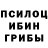 Псилоцибиновые грибы GOLDEN TEACHER Mestniy KEK